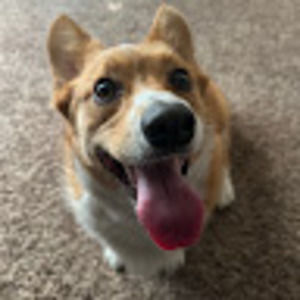 Meet your Posher, Izzy